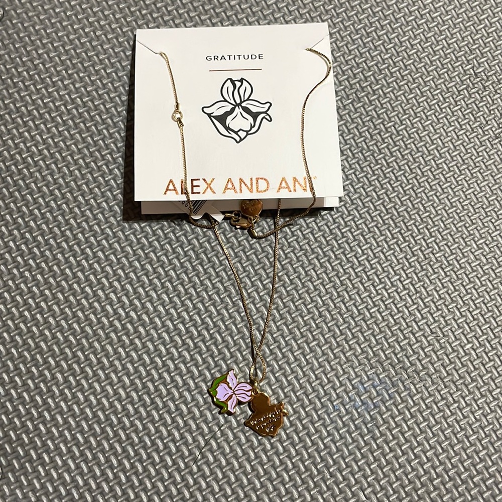 Alex and Ani necklace
